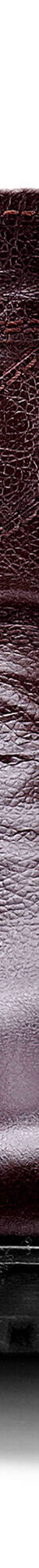 Botillons zippés cuir fourrés laine - jusqu'au 46 (marron) Botillons zippés cuir fourrés laine - jusqu'au 46 (marron)